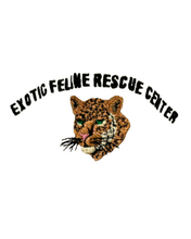 Load image into Gallery viewer, Baseball Hats