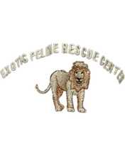 Load image into Gallery viewer, Baseball Hats