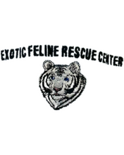 Load image into Gallery viewer, Baseball Hats