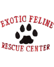 Load image into Gallery viewer, Baseball Hats
