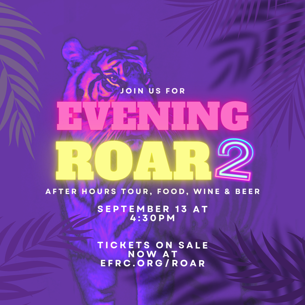 Evening Roar II Tickets