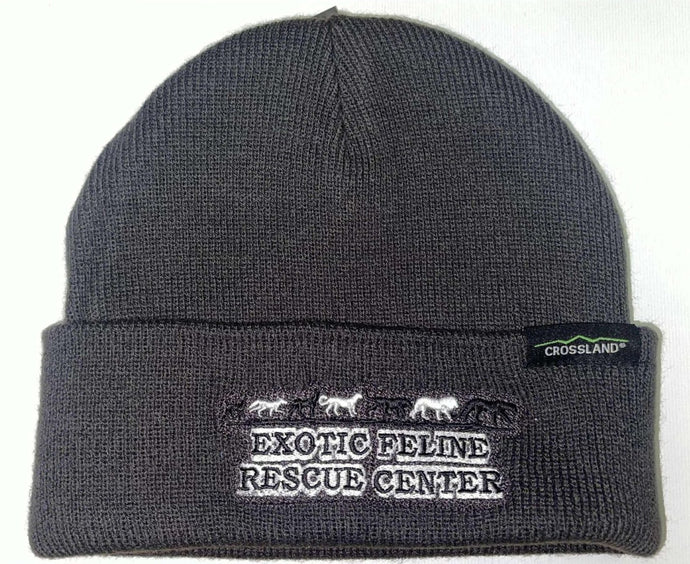 Parade Logo Beanie