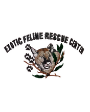 Load image into Gallery viewer, Baseball Hats
