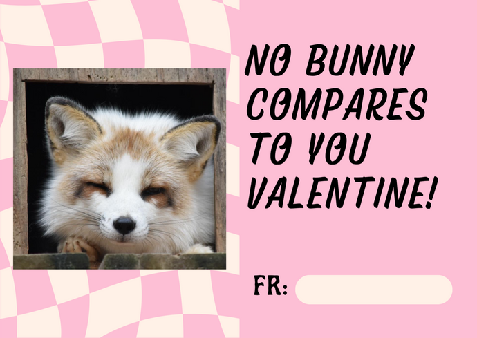 Downloadable Valentine Cards