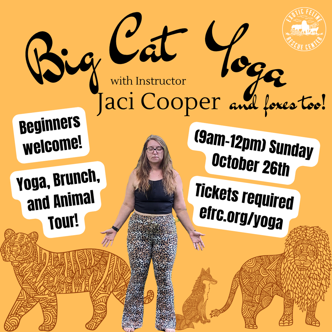 Big Cat Yoga Tickets