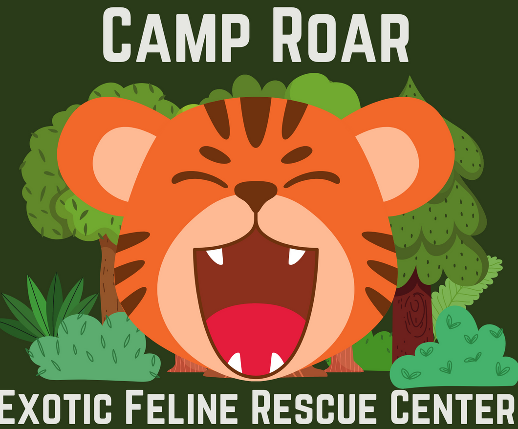 Camp Roar 2023 Registration