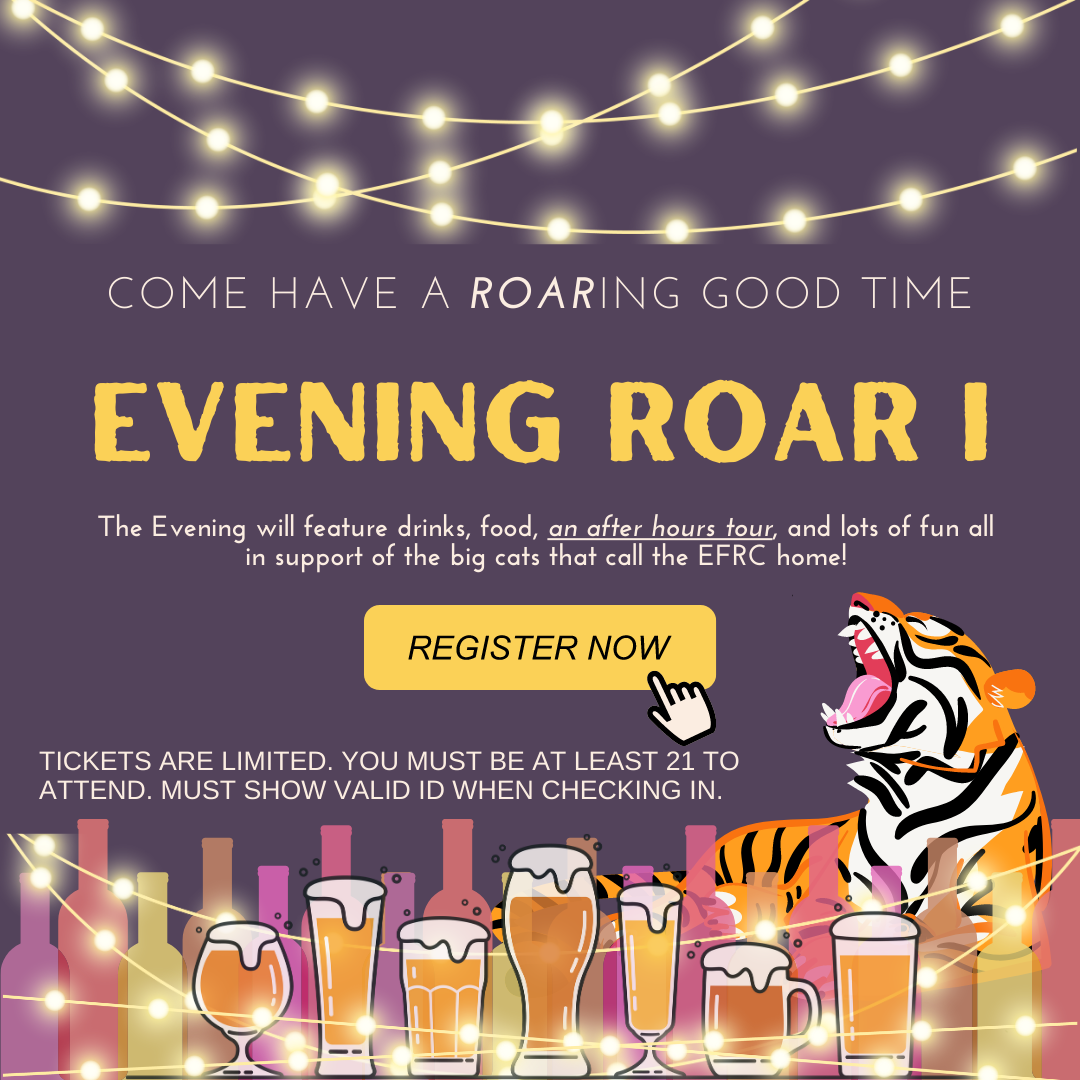 Evening Roar I Tickets