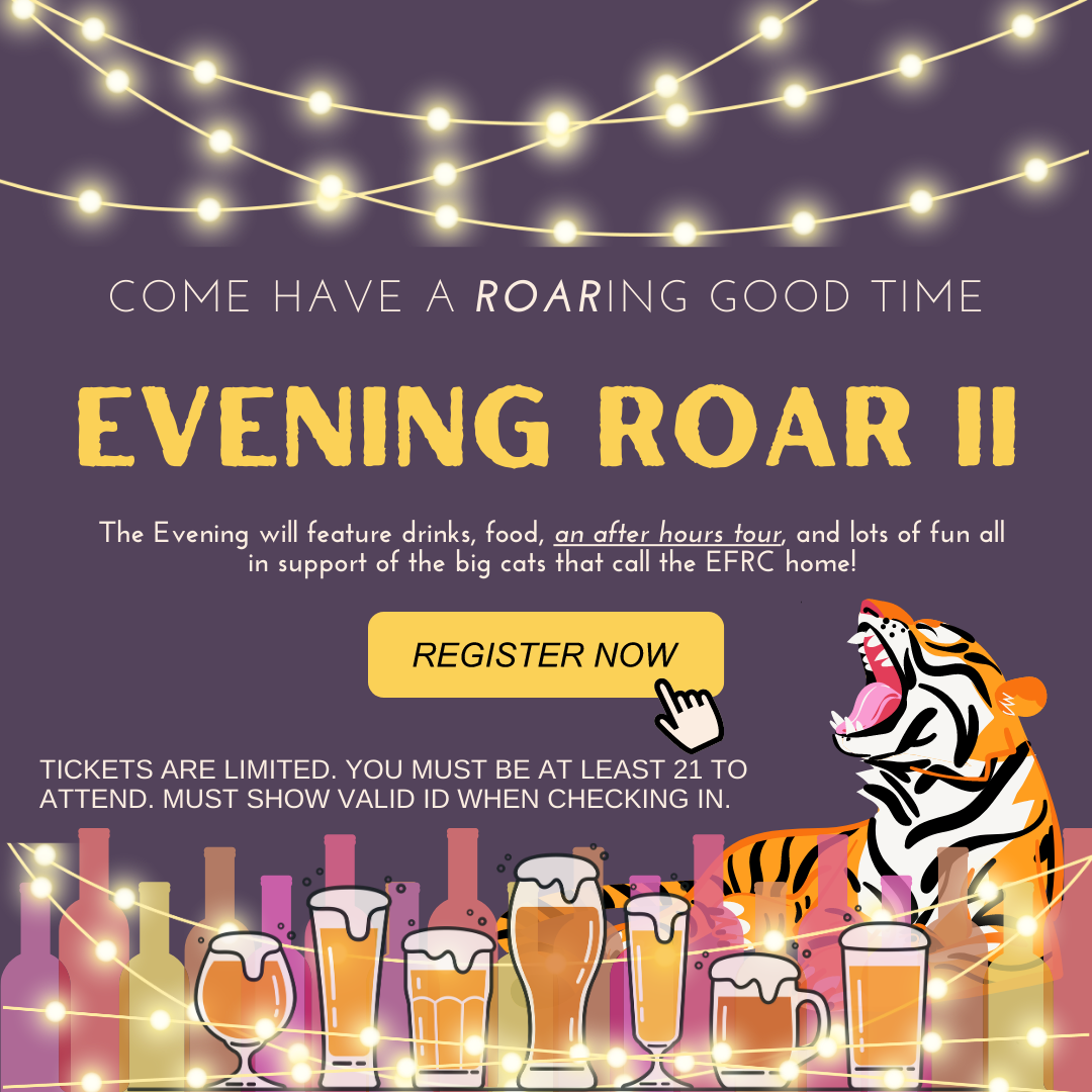 Evening Roar II Tickets