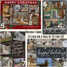 Load image into Gallery viewer, 2023 Holiday Card Packs
