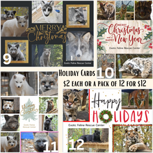 Load image into Gallery viewer, 2023 Holiday Card Packs
