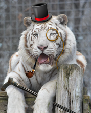Load image into Gallery viewer, Animal Costume Contest
