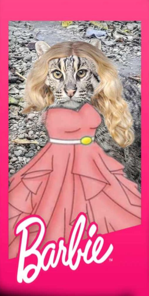 Vote for Fishing Cat Barbie!