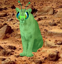Load image into Gallery viewer, Animal Costume Contest
