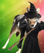 Load image into Gallery viewer, Animal Costume Contest
