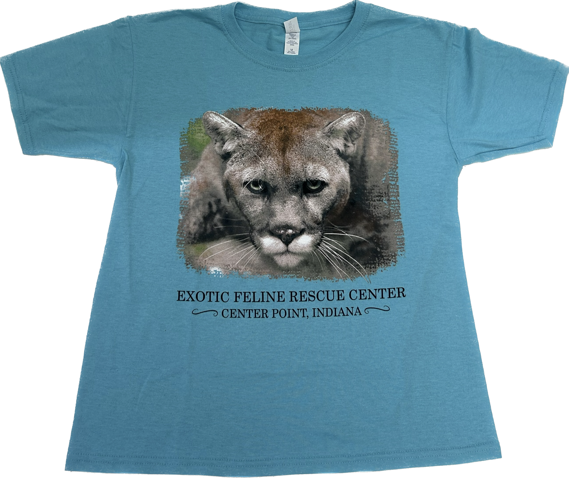Zoey Cougar on Teal T-Shirt