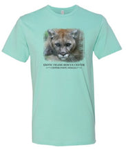 Load image into Gallery viewer, Zoey Cougar on Teal T-Shirt
